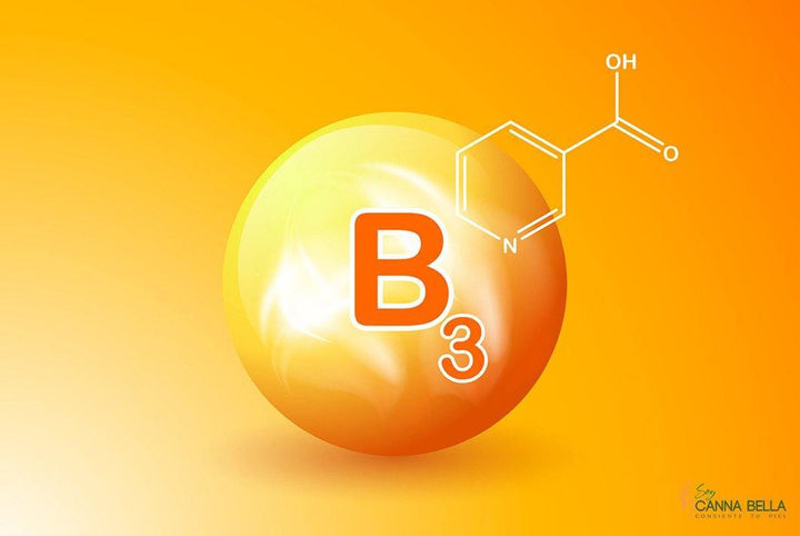Vitamina B3, la protección para tu piel - Soy Canna Bella