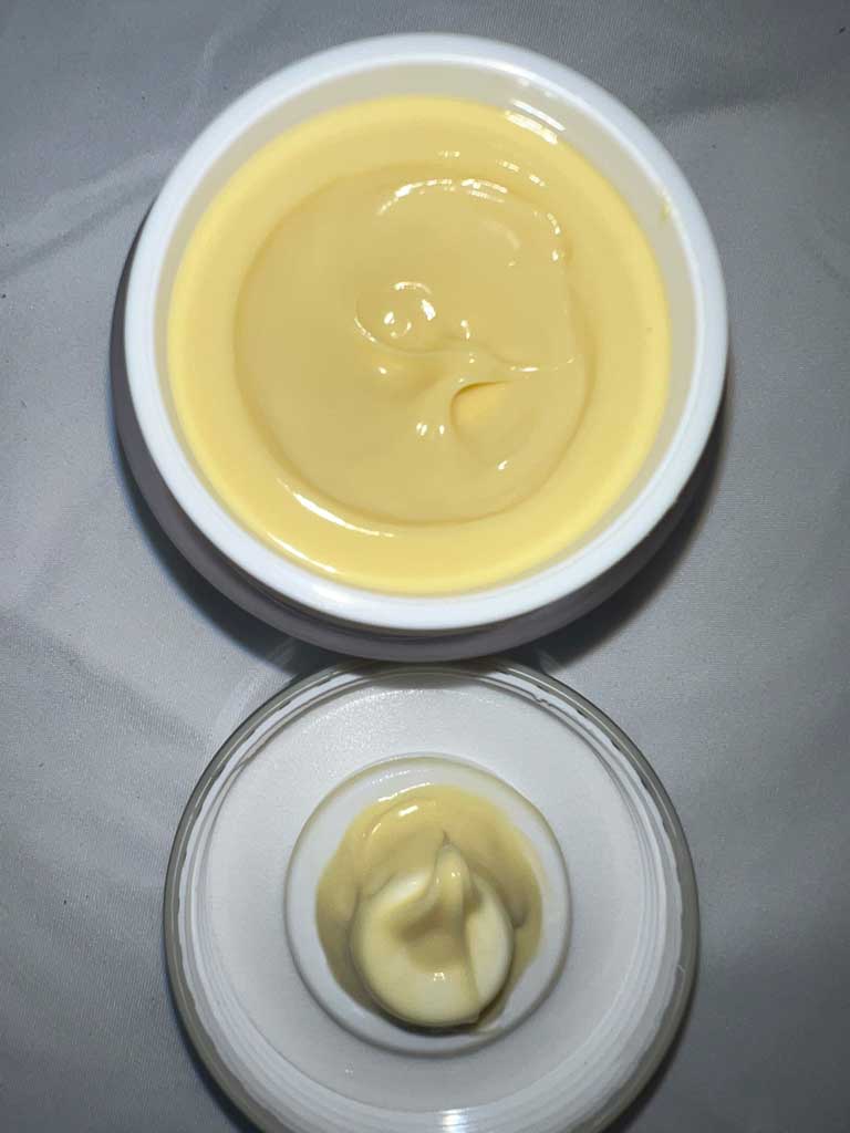 Crema Humectante Anti Edad Soy Canna Bella 50 ML (1.69 OZ) 100% Natural - Soy Cannabella